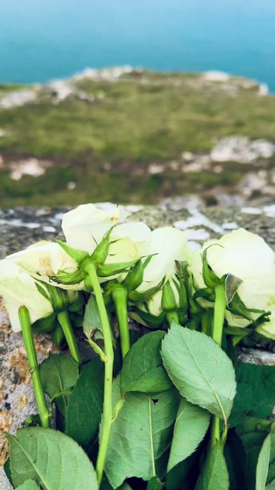 Post 1 by Nizami🇬🇧 on TikTok (video)