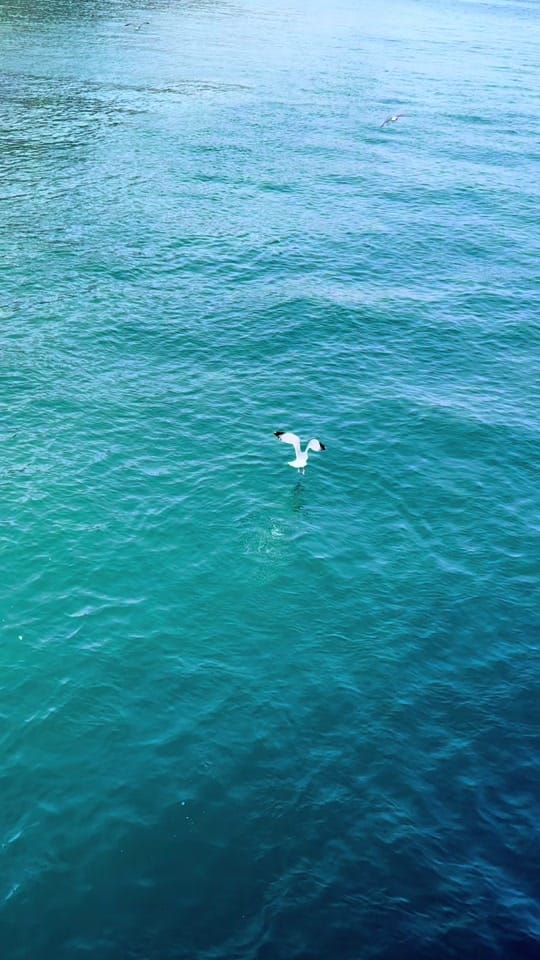 Post 2 by Nizami🇬🇧 on TikTok (video)