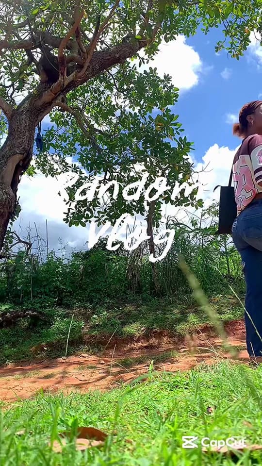 Post 10 by Chelseaaaa on TikTok (video)