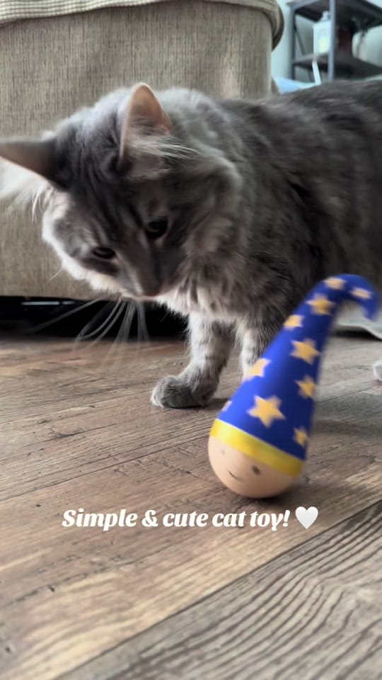 Post 1 by ✨Chelsea Rene’✨ on TikTok (video)