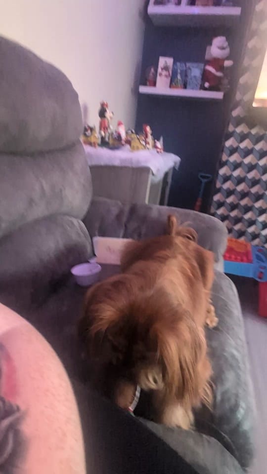 Post 6 by Sarah Mckeown on TikTok (video)