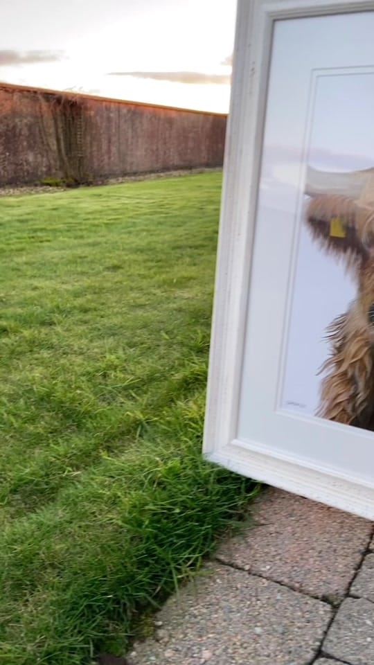 Post 9 by Demi Alexander Art on TikTok (video)