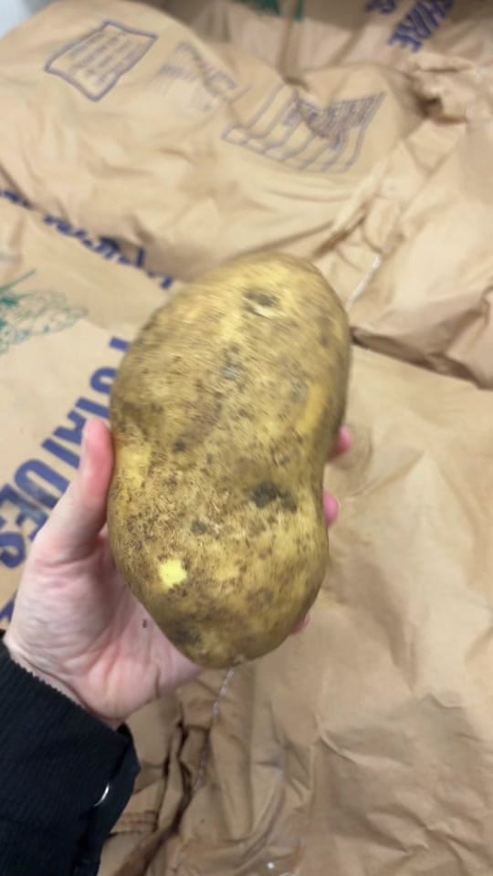 Post 6 by Ranmoor Friery Sheffield on TikTok (video)