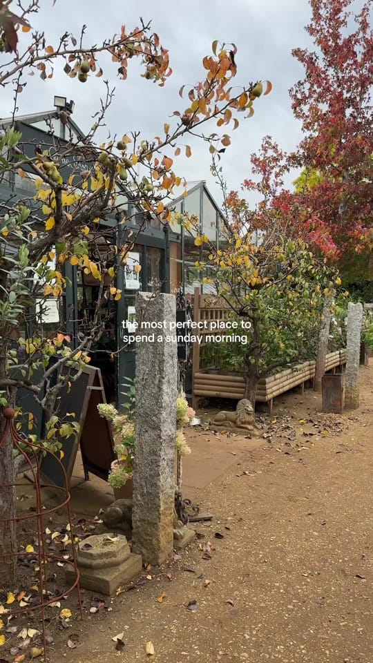 Post 8 by Özlem | Beauty, Life + Travel on TikTok (video)