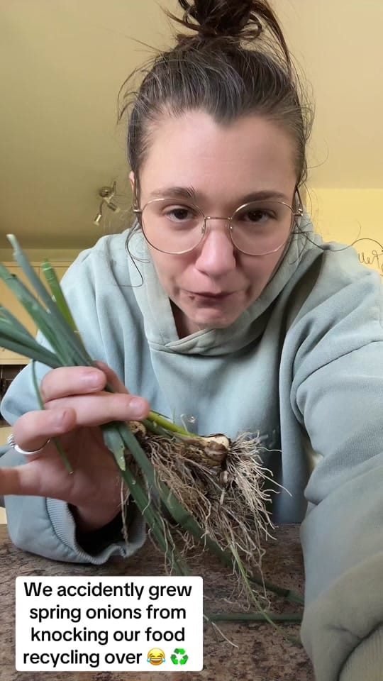 Post 6 by LauraJ on TikTok (video)