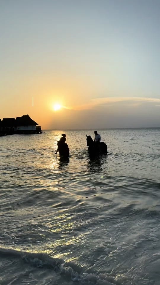 Post 2 by mariamd.allo on TikTok (video)