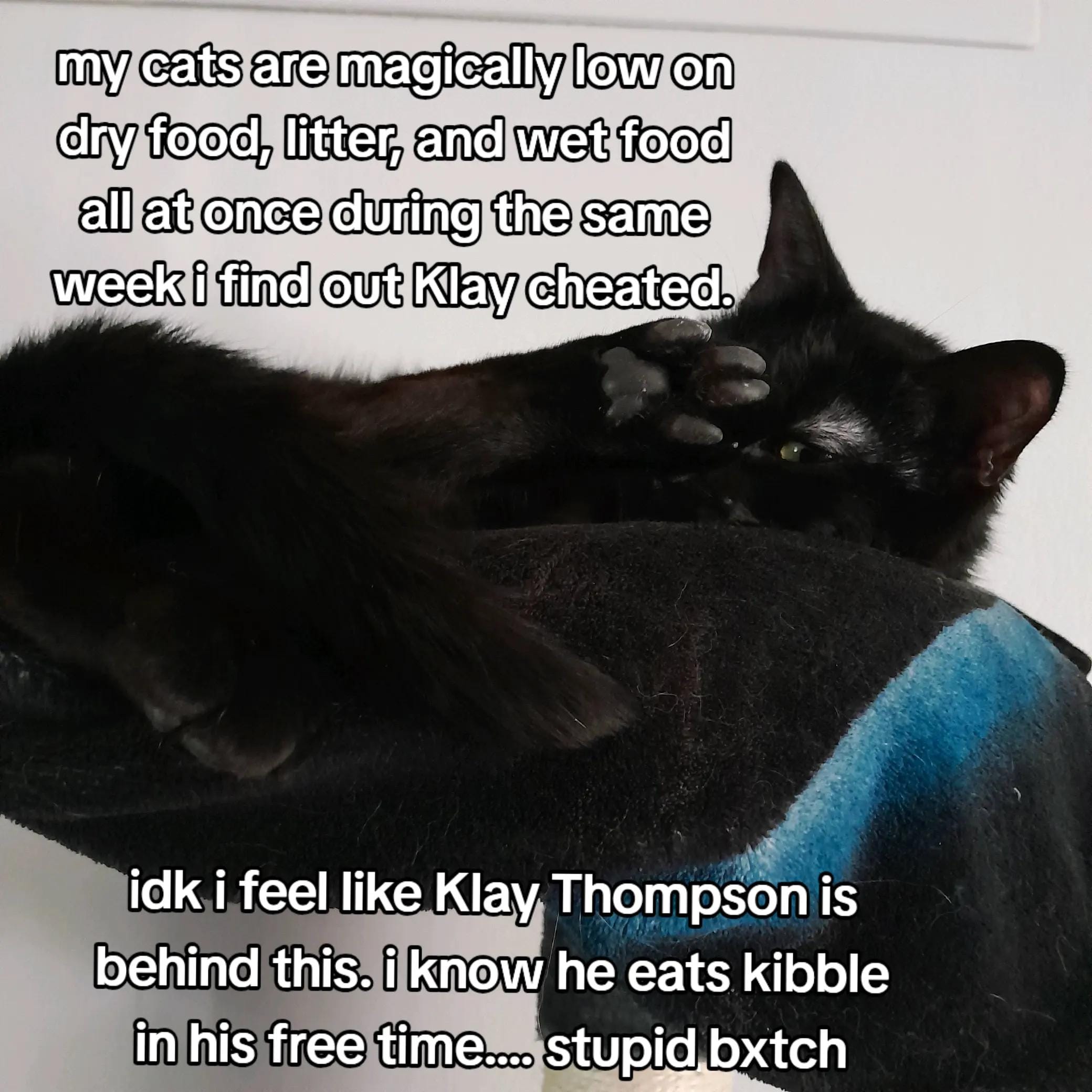 Post 5 by ☆Burlington Throat Factory☆ on TikTok (video)