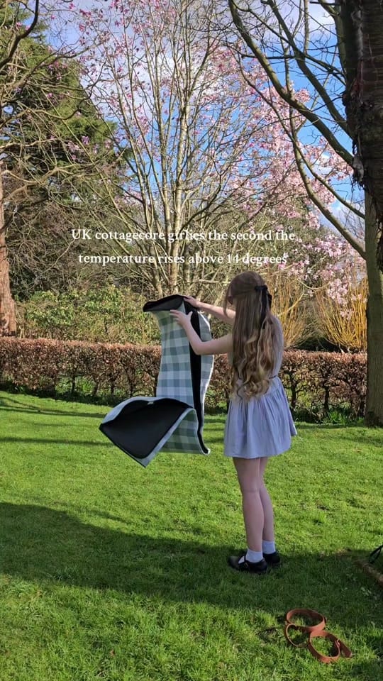 Post 4 by Joni Rosalyn on TikTok (video)