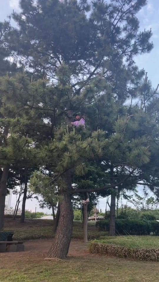 Post 5 by kenta on TikTok (video)