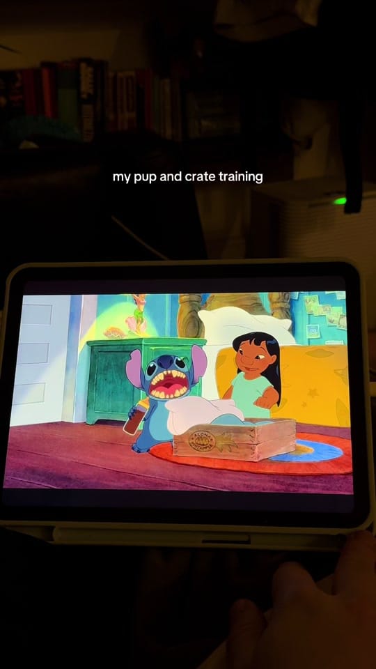 Post 7 by jane naumova on TikTok (video)