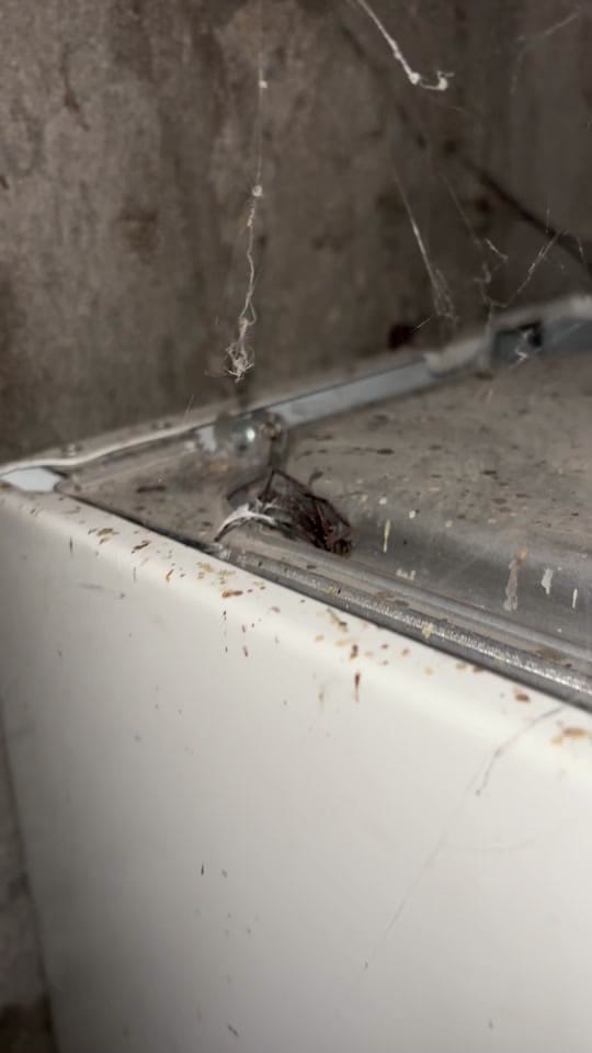 Post 6 by NN Plumber on TikTok (video)
