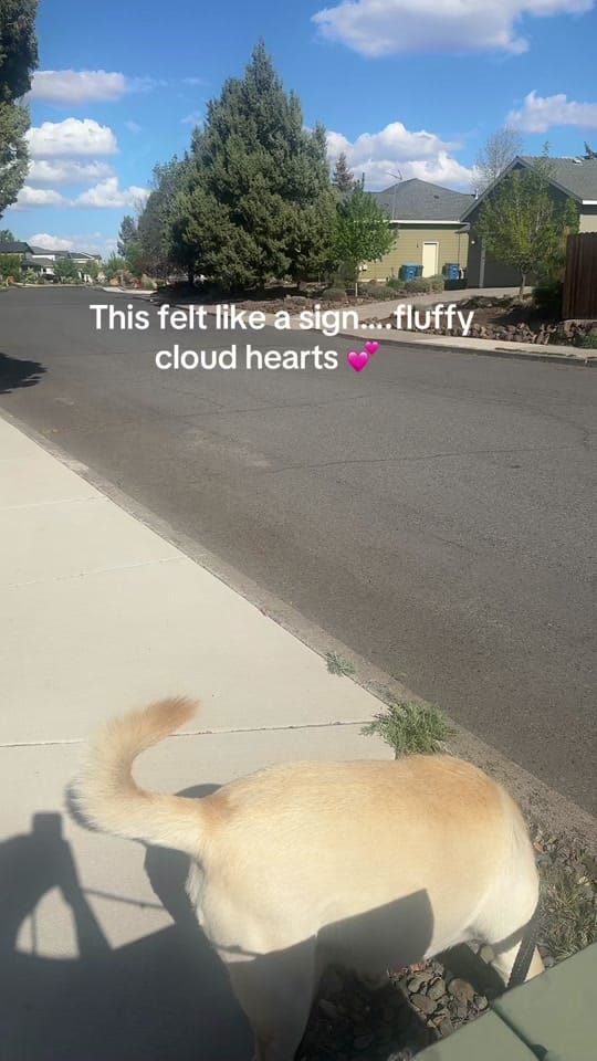 Post 5 by Maddison on TikTok (video)