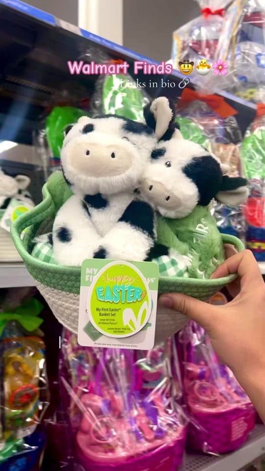 Post 2 by Best Cowgirl Western Finds on TikTok (video)