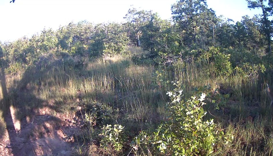Post 4 by Texas Prepper Shop on TikTok (video)