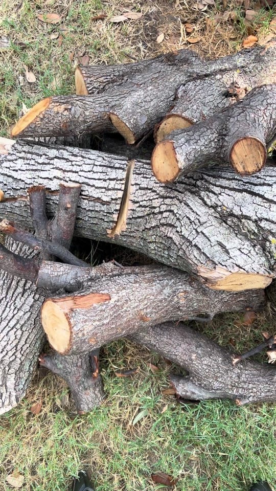 Post 10 by Texas Prepper Shop on TikTok (video)