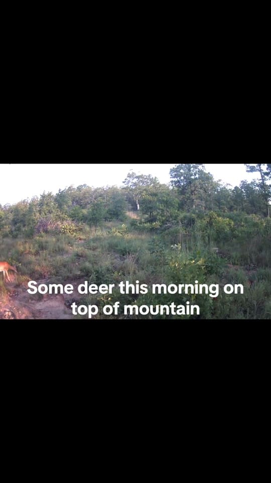 Post 9 by Texas Prepper Shop on TikTok (video)
