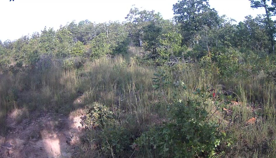 Post 2 by Texas Prepper Shop on TikTok (video)