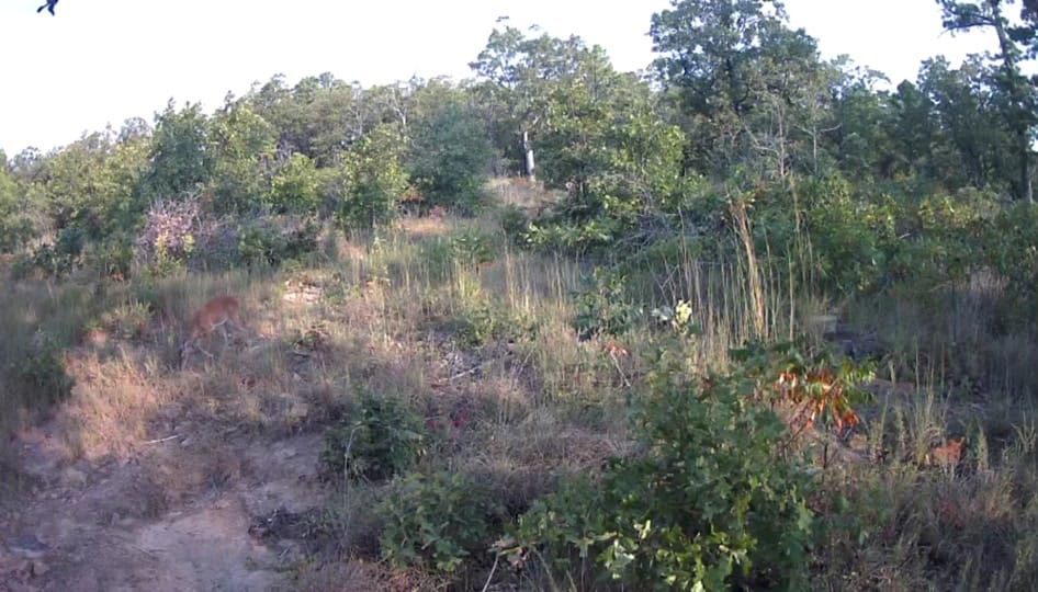 Post 7 by Texas Prepper Shop on TikTok (video)