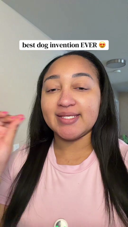 Post 3 by bray & lexi | pro dog mom🐾 on TikTok (video)