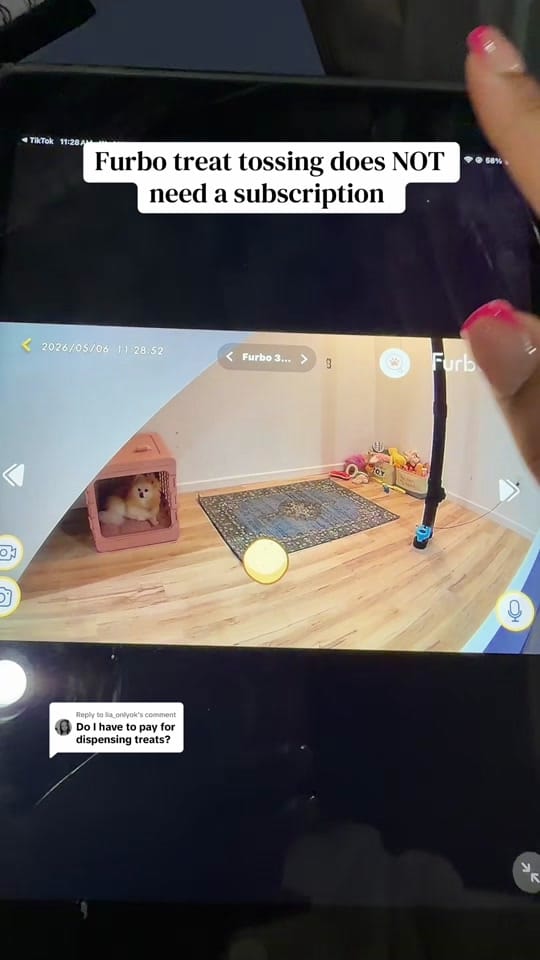 Post 5 by bray & lexi | pro dog mom🐾 on TikTok (video)