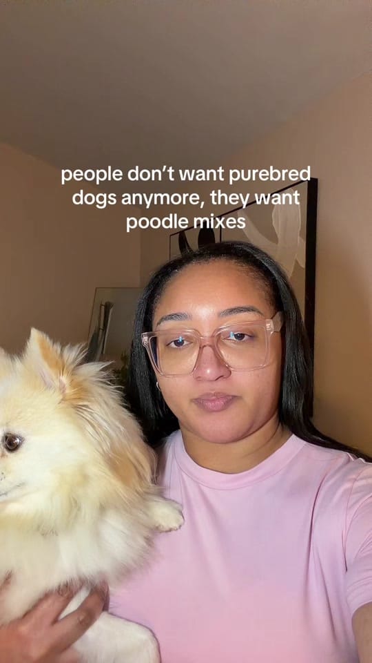 Post 2 by bray & lexi | pro dog mom🐾 on TikTok (video)
