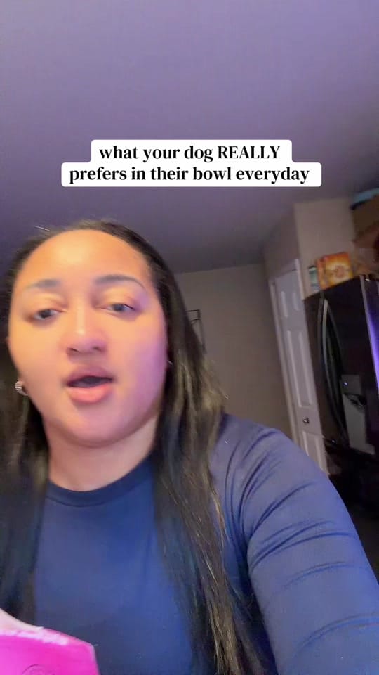 Post 9 by bray & lexi | pro dog mom🐾 on TikTok (video)
