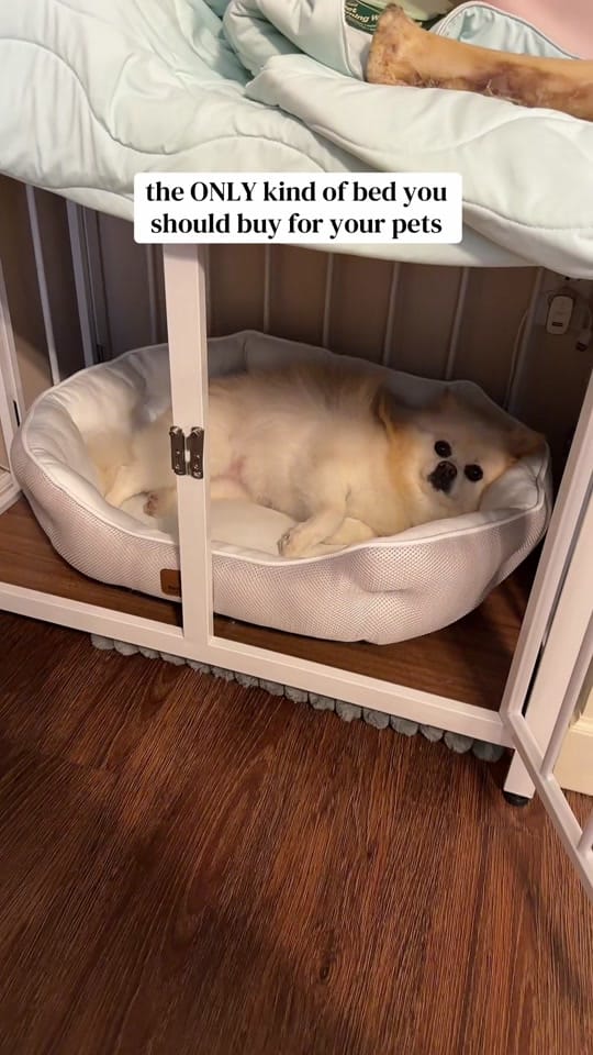 Post 4 by bray & lexi | pro dog mom🐾 on TikTok (video)