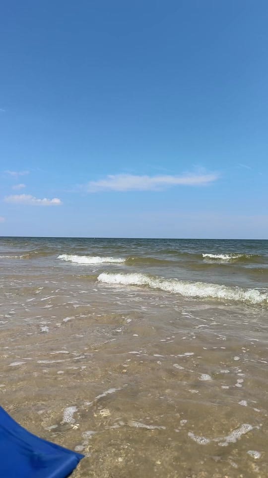 Post 9 by Natalie Amendt on TikTok (video)