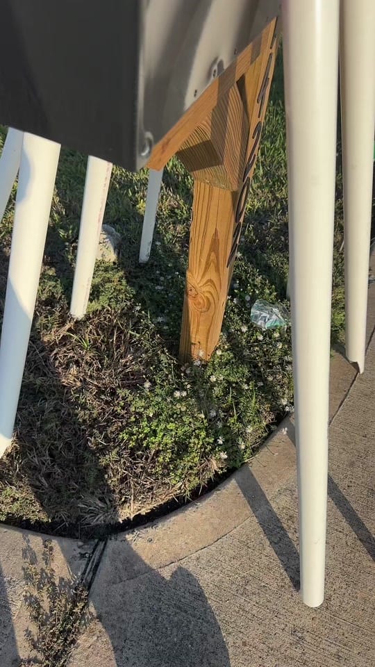 Post 10 by Natalie Amendt on TikTok (video)