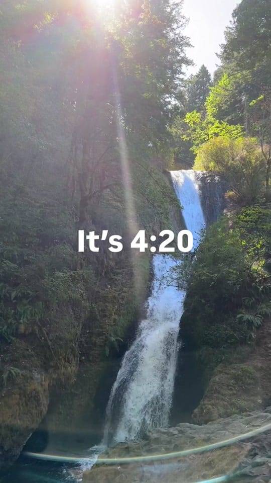 Post 5 by Session Goods on TikTok (video)