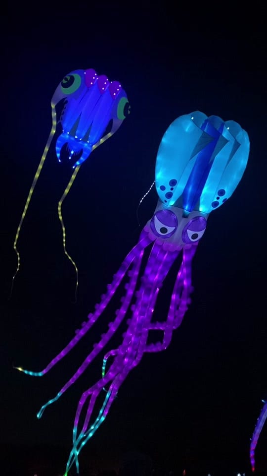 Post 5 by Fly It Port A on TikTok (video)