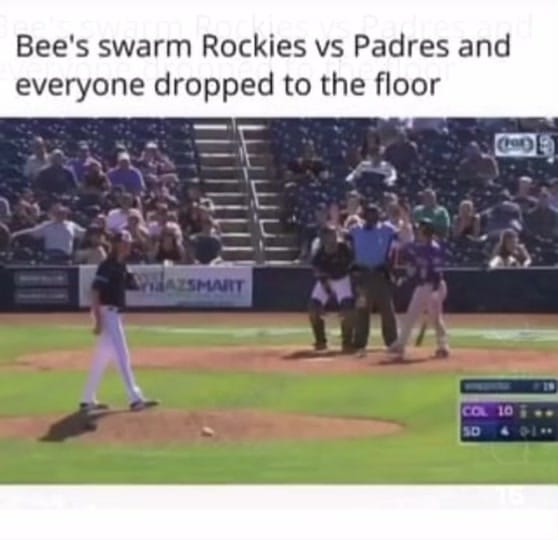 Post 9 by @Yankee_fan_710508 on TikTok (video)