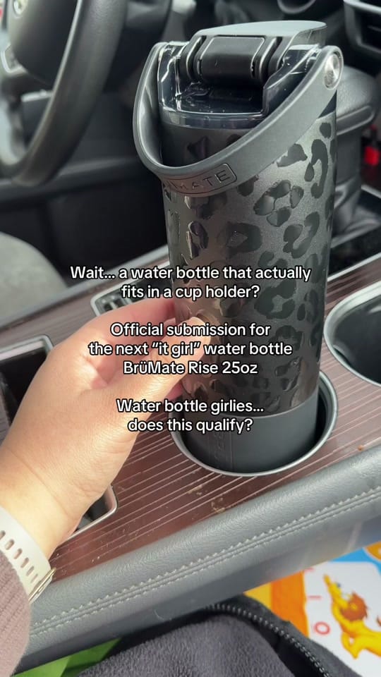Post 3 by Dina on TikTok (video)
