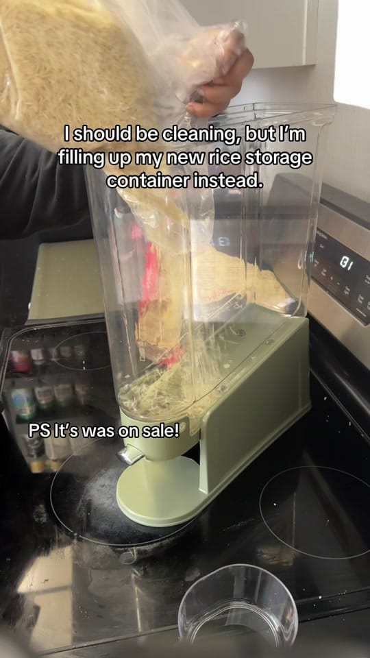 Post 6 by Dina on TikTok (video)