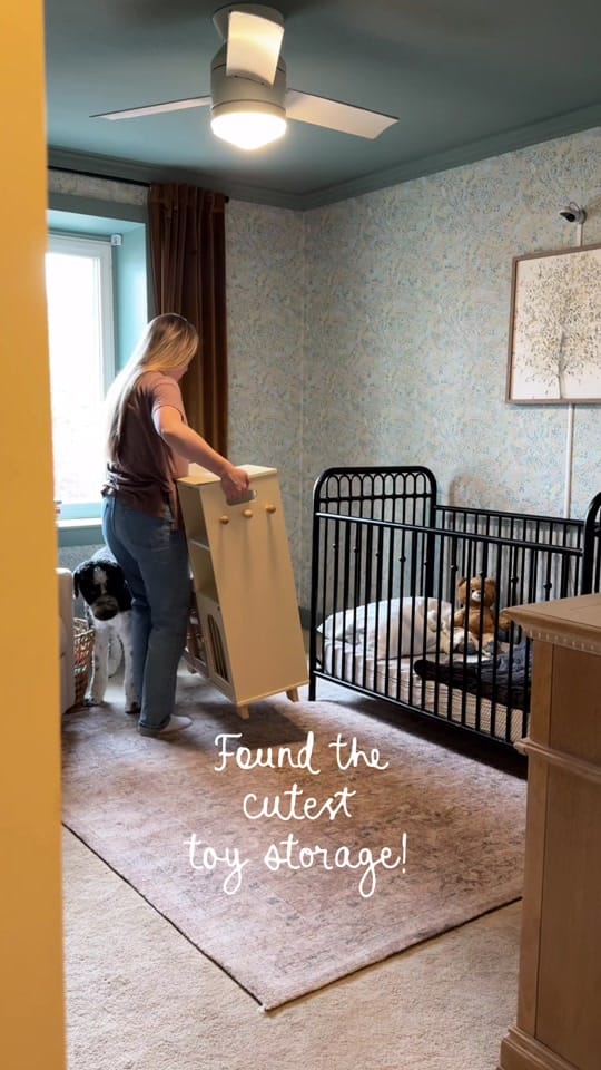 Post 3 by Rachel Hoback on TikTok (video)