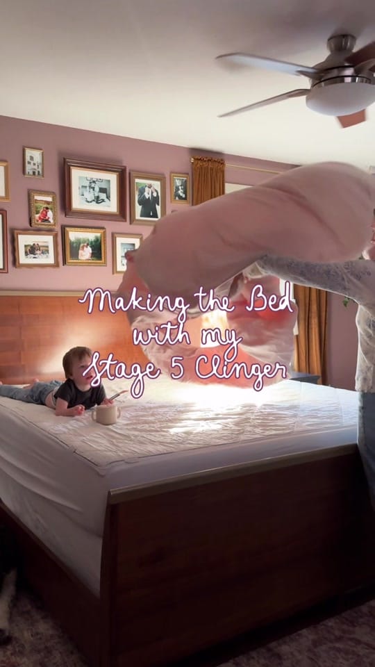Post 1 by Rachel Hoback on TikTok (video)