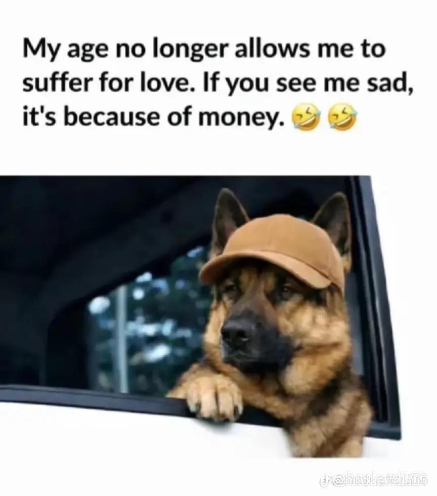 Post 2 by ✨Marcie🦋 on TikTok (video)