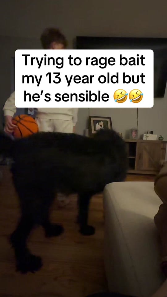 Post 1 by Kayla on TikTok (video)