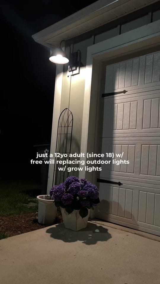 Post 2 by bree ✨ on TikTok (video)