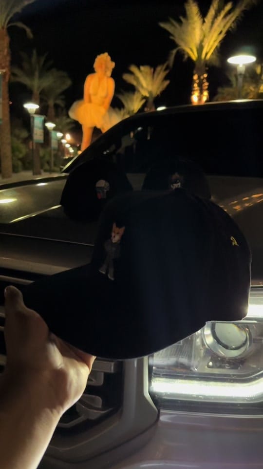 Post 6 by Js Hats on TikTok (video)