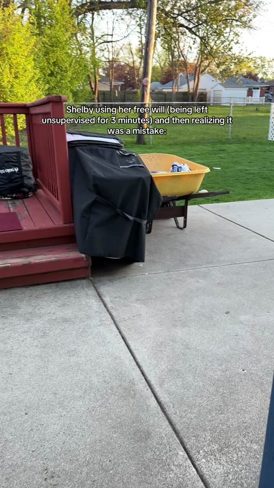 Post 4 by ♡ Ginny, Georgia, & Shelby ♡ on TikTok (video)