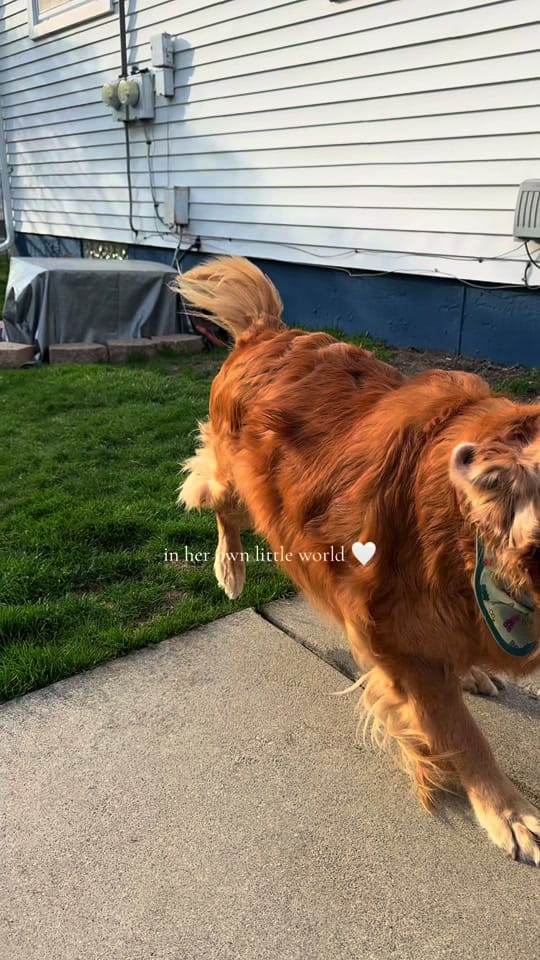 Post 6 by ♡ Ginny, Georgia, & Shelby ♡ on TikTok (video)