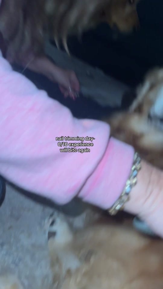 Post 2 by ♡ Ginny, Georgia, & Shelby ♡ on TikTok (video)