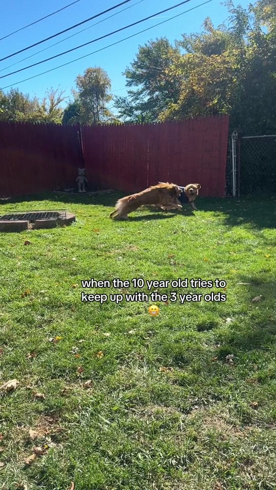 Post 9 by ♡ Ginny, Georgia, & Shelby ♡ on TikTok (video)