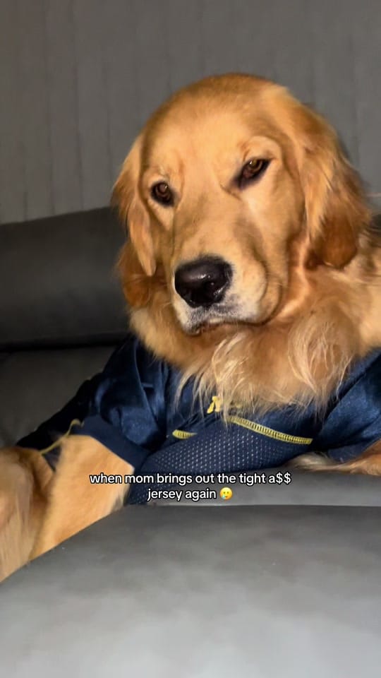 Post 7 by ♡ Ginny, Georgia, & Shelby ♡ on TikTok (video)