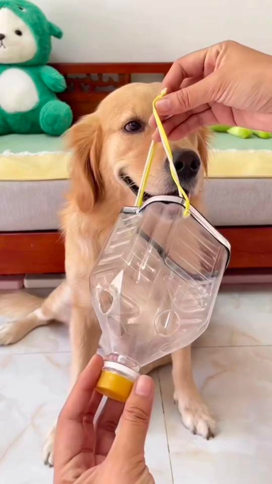 Post 1 by Vetventures on TikTok (video)