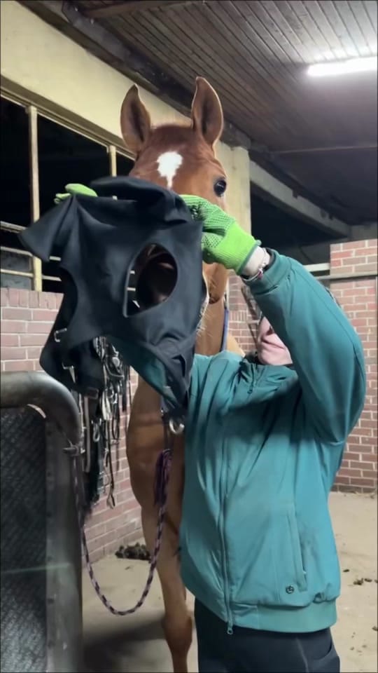 Post 7 by Vetventures on TikTok (video)