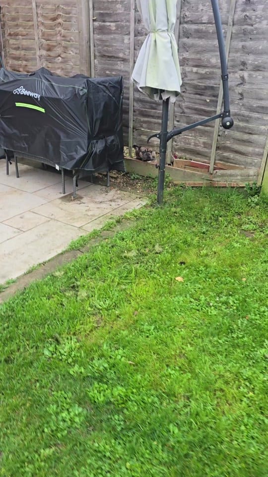 Post 8 by Laurendenby on TikTok (video)