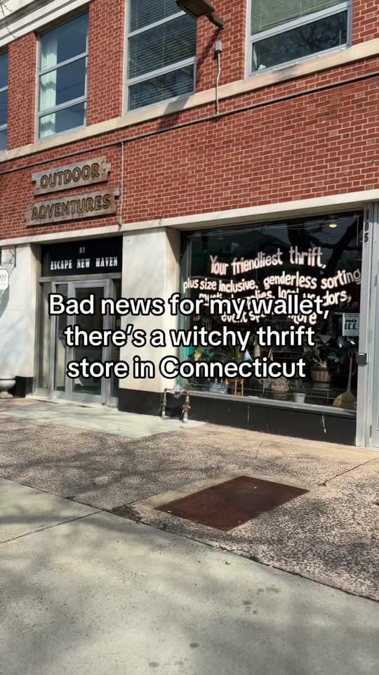 Post 3 by WitchBThrift on TikTok (video)
