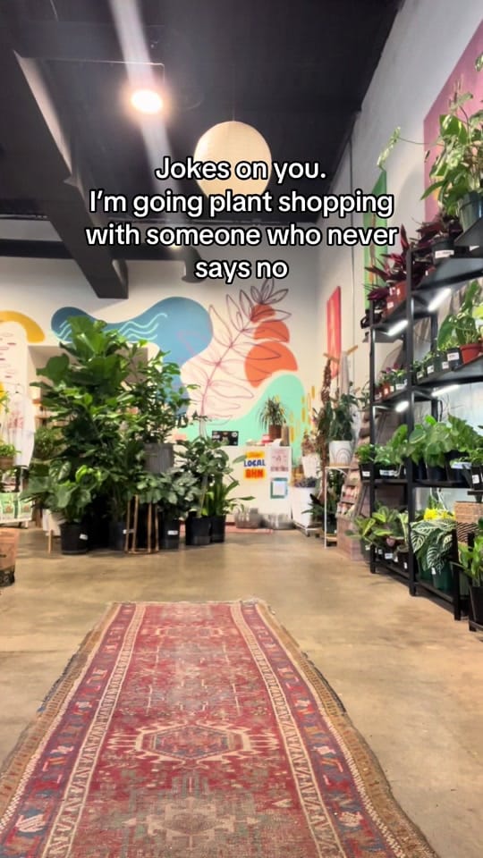 Post 2 by House Plant Collective on TikTok (video)